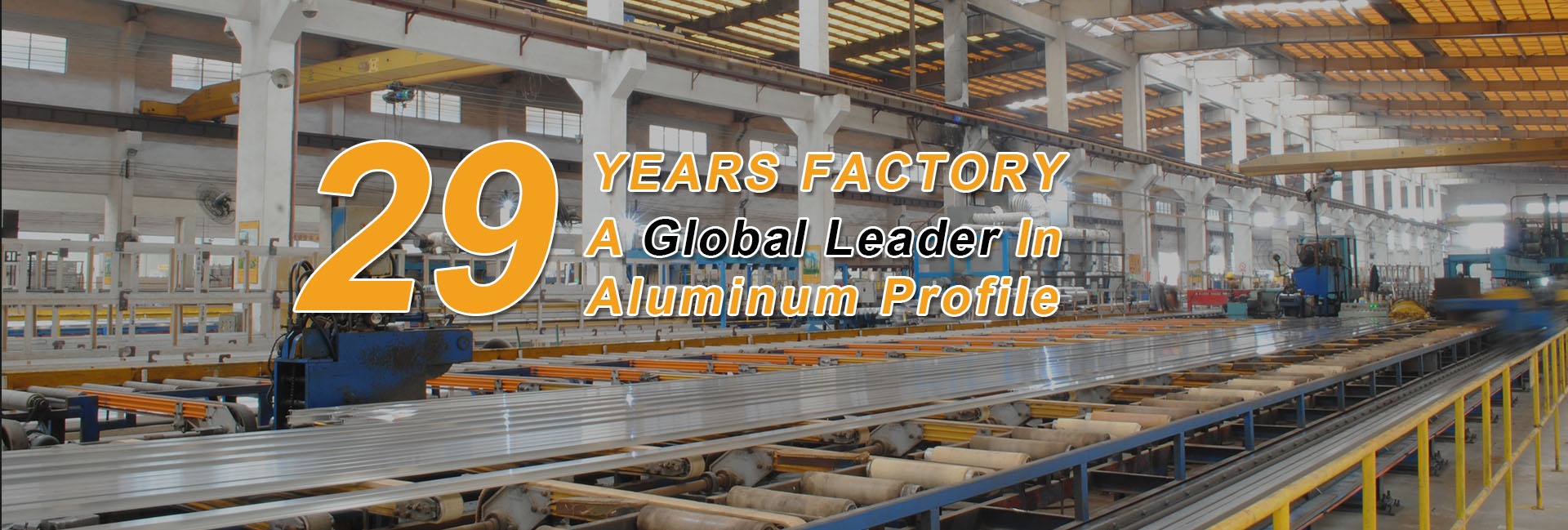 Company Profile